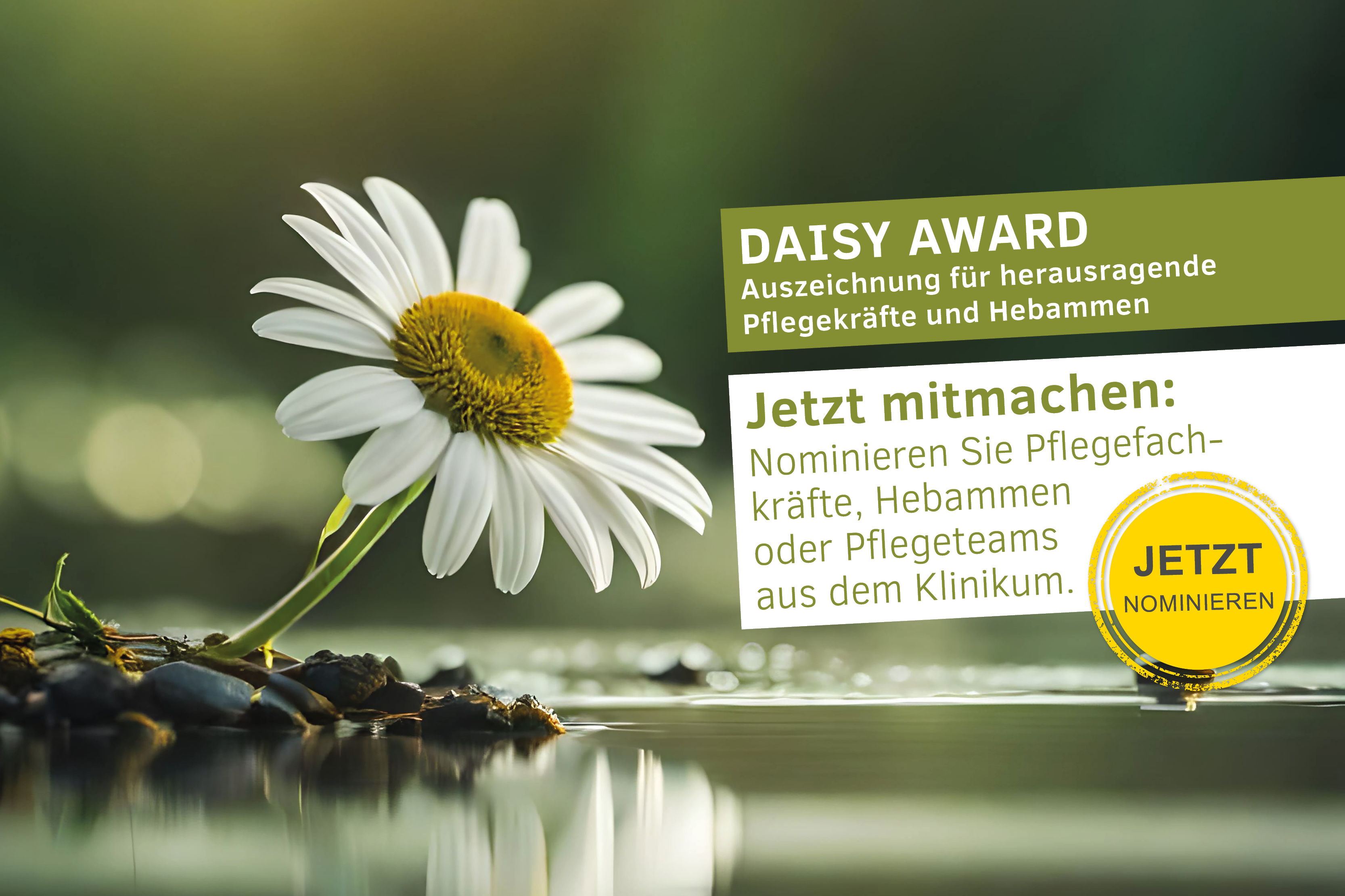 Bild eines Gänseblümchens mit Text "DAISY Award. Auszeichnung für herausragende Pflegekräfte und Hebammen. jetzt mitmachen: Nominieren Sie eine Pflegeperson oder Hebamme aus dem Klinikum. JETZT nominieren"