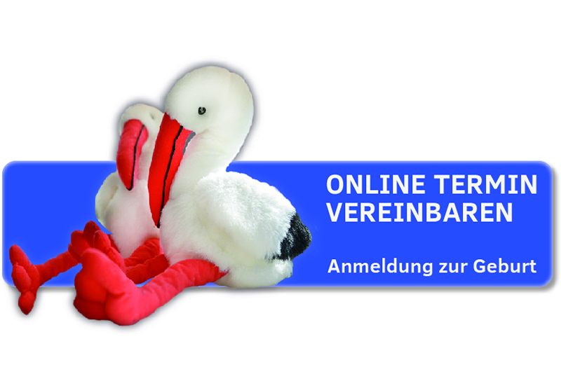 Zwei Stofftier-Störche vor dem Bild einer Schaltfläche mit dem Text "Online Termin vereinbaren. Anmeldung zur Geburt"