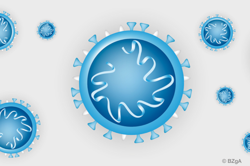 Schematische Zeichnung des Coronavirus Covid-19 (Quelle: Bundeszentrale für gesundheitliche Aufklärung) Schematische Zeichnung des Coronavirus Covid-19 (Quelle: Bundeszentrale für gesundheitliche Aufklärung)